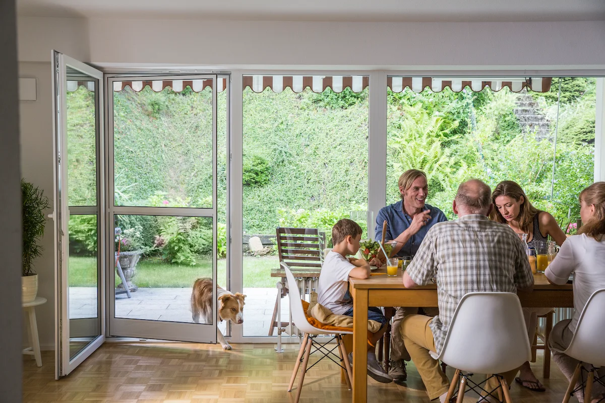 Pendeltuer Hund 1200